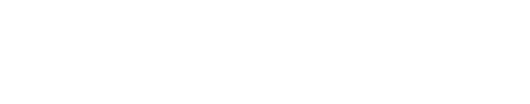 Shoption Logo